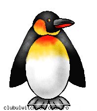 pinguini isi fac casute din pietre, iar uneori mai fura altii.