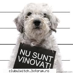 chiar ca nu este vinovat. catei