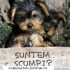 Catei - Nu merge poza. O sa pun alta - Animale