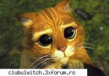 Poze cu animale - Taranee_21 - Poze